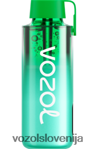 VOZOL Vape Amazon - VOZOL NEON 10000 TL6DT0229 miami mint