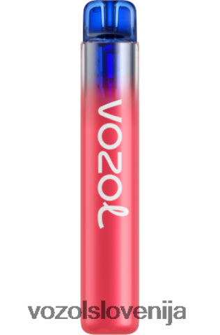 VOZOL Ljubljana - VOZOL NEON 800 TL6DT0283 borovničev led