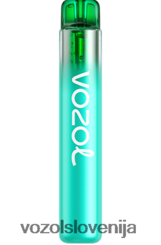 VOZOL Vape Flavours - VOZOL NEON 800 TL6DT0246 borovnica kisla malina