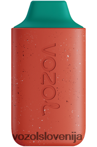 VOZOL Slovenija - VOZOL STAR 6000 TL6DT0111 lubenica dragon fruit