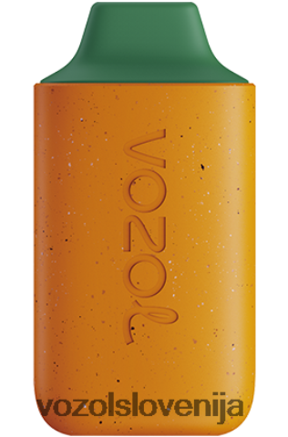 VOZOL Vape Review - VOZOL STAR 6000 TL6DT0120 mango breskev lubenica