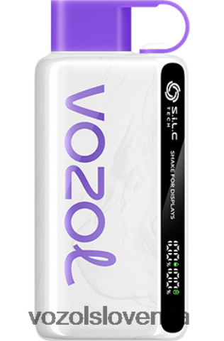 VOZOL Vape Amazon - VOZOL STAR 9000/12000 TL6DT039 brusnica mango grenivka