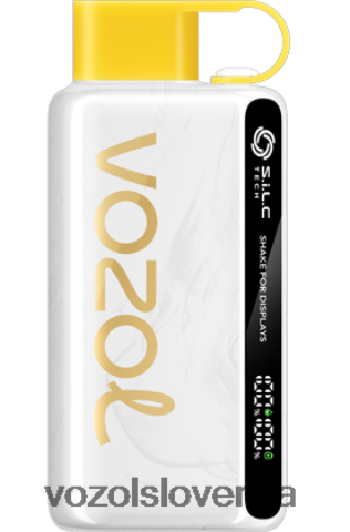 VOZOL Vape Flavours - VOZOL STAR 9000/12000 TL6DT046 ananasov kokosov led