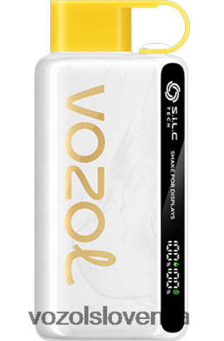 VOZOL Vape Price - VOZOL STAR 9000/12000 TL6DT025 kivi pasijonka guava