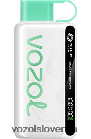 VOZOL Vape Shop - VOZOL STAR 9000/12000 TL6DT034 žvečilni gumi iz lubenice