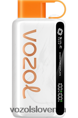 VOZOL Vape Shop - VOZOL STAR 9000/12000 TL6DT044 mehiški mangov led