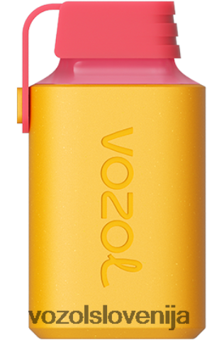 VOZOL Slovenija - VOZOL GEAR 600 TL6DT0351 kivi pasijonka guava