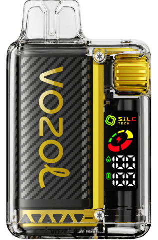 VOZOL Vape Sale - VOZOL VISTA 16000/20000 TL6DT08 mangov led